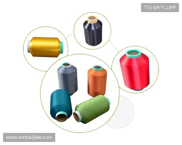 ag电投厅网址官网官方入口，提供最全面的安全登录指南