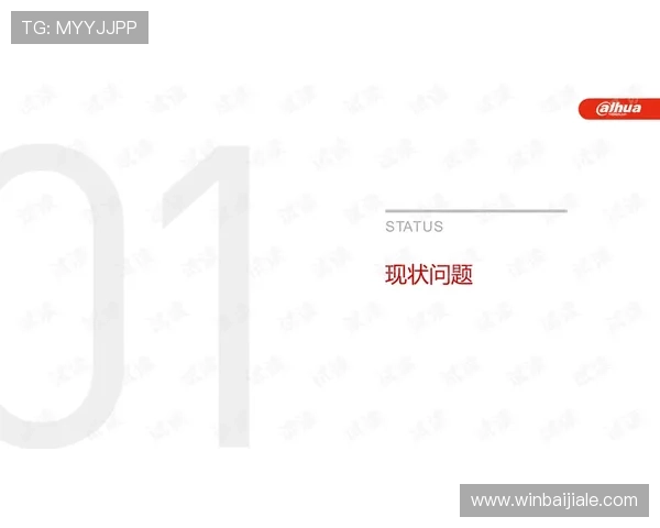 ag盘口网站安全性分析与防范措施保障玩家资金安全