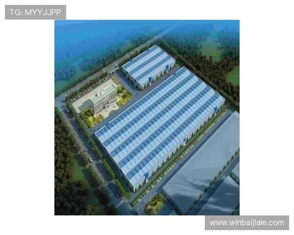 万利真人安全保障措施全面提升用户体验的核心要点