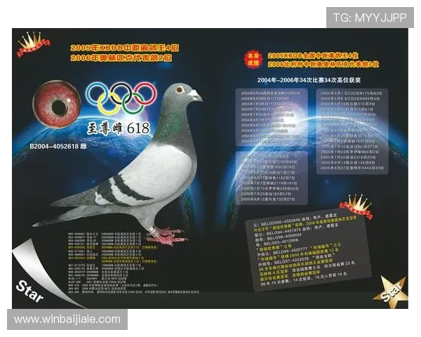 选择ag国际厅下载官网的理由及其优势分析