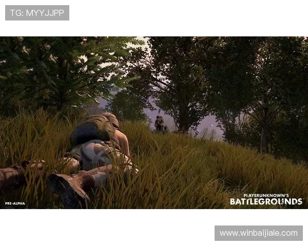 dg视讯游戏网址永久免费访问，快速登录体验高清流畅的线上娱乐乐趣